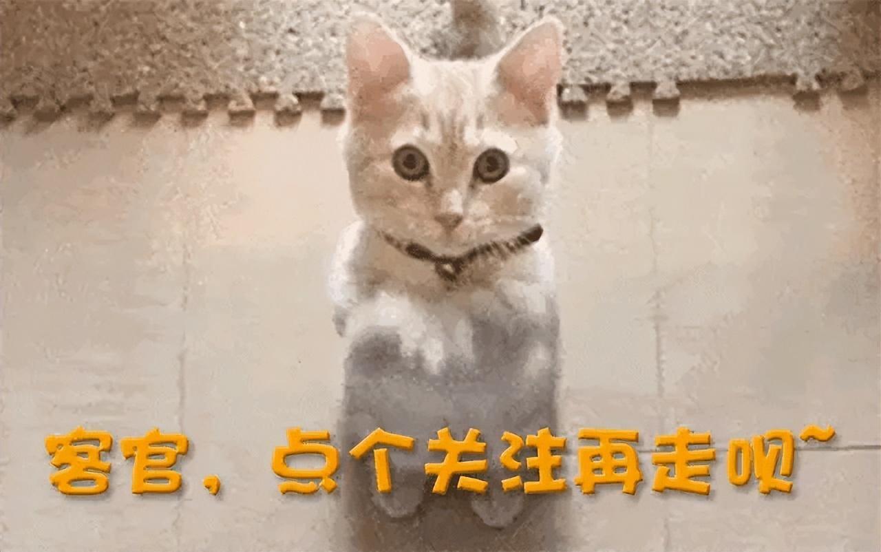 汽車事故起火怎么理賠_汽車火災事故_汽車著火事故