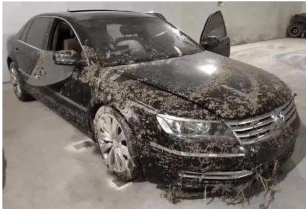 車易購事故車拍賣平臺_買到泡水事故車怎么辦_怎么識別泡水車和事故車
