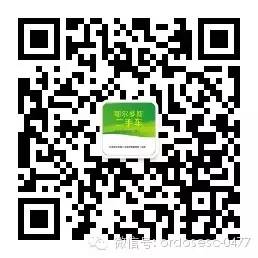 買二手車后發現事故車_買了事故二手車_二手車買完發現是事故車