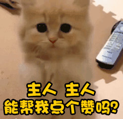 如果車借給別人出了事故怎么辦_借車給別出了事故_如果我借車給別人出了事故