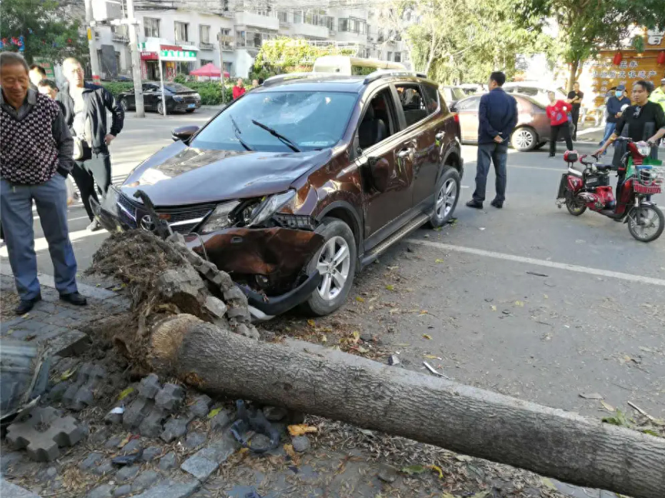 交通事故需要扣車嗎_交通事故需要扣車嗎_交通事故需要扣車嗎